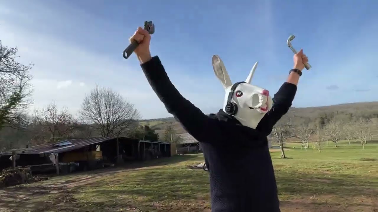 Teaser Festival Ecaussysteme 2022