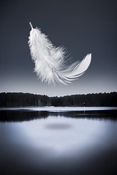 Photo de LE LAC DES CYGNES (Angelin Preljocaj)