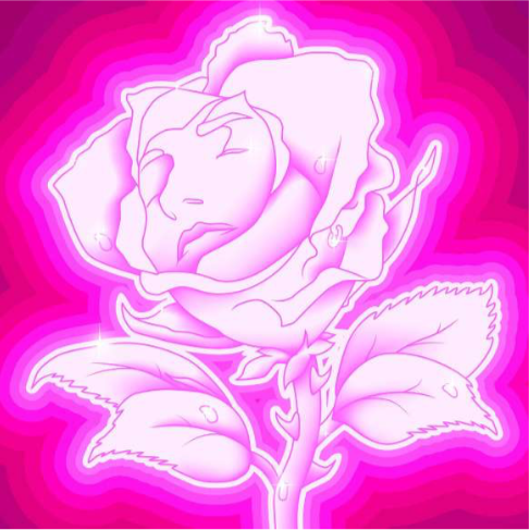 Rose fluo